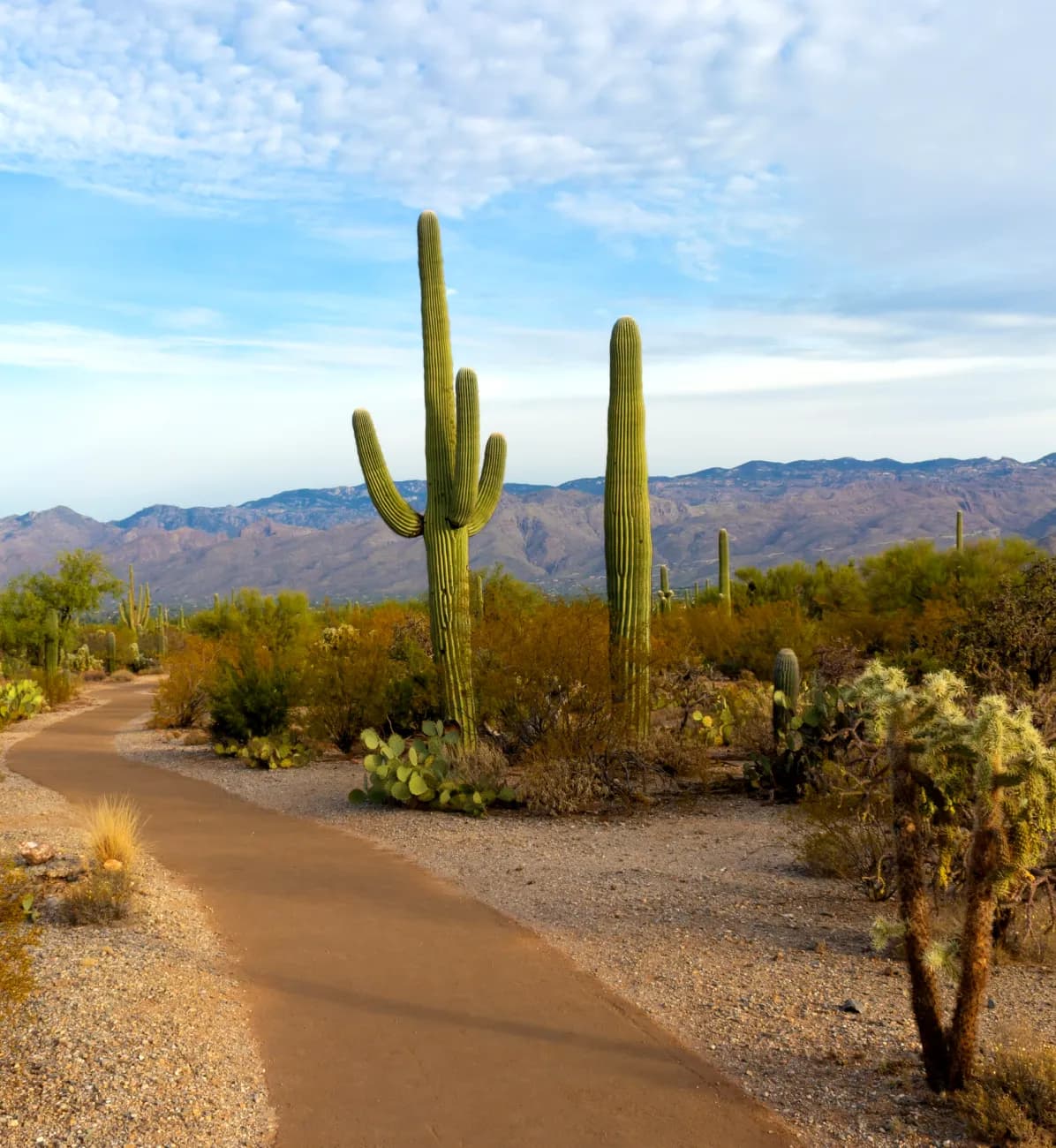 Image of an area in Arizona